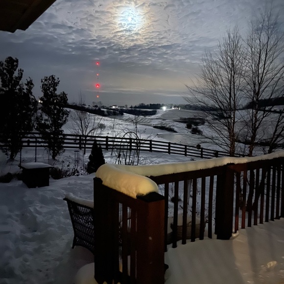 Meet your Posher, Laura - Picture 4 of 7